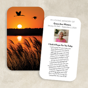 Flight of Faith A Peaceful Reflection