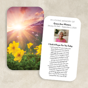 Golden Flowers in Mountain Light