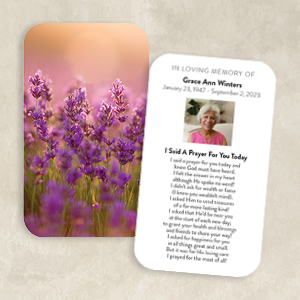 Lavender Blooms in Warm Glow