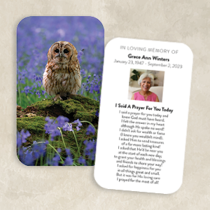 Owl Among the Bluebells