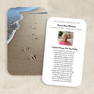 Pawprints by the Shore