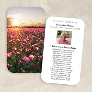 Sunlit Field of Pink Blossoms