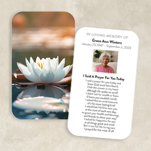 White Lotus in Still Waters